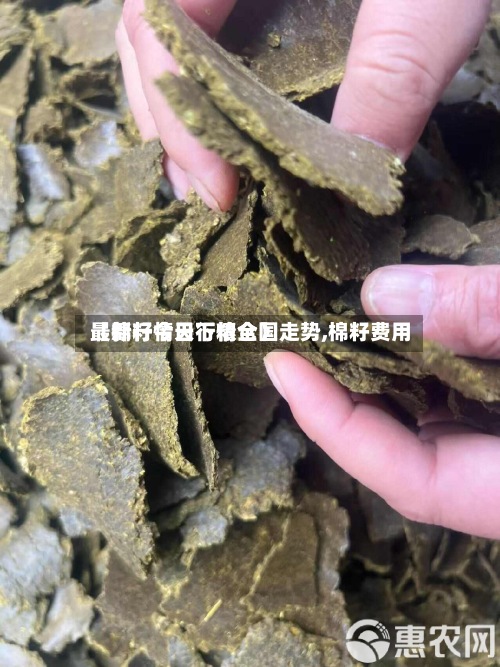 【棉籽今日行情全国走势,棉籽费用
最新行情天下粮仓】