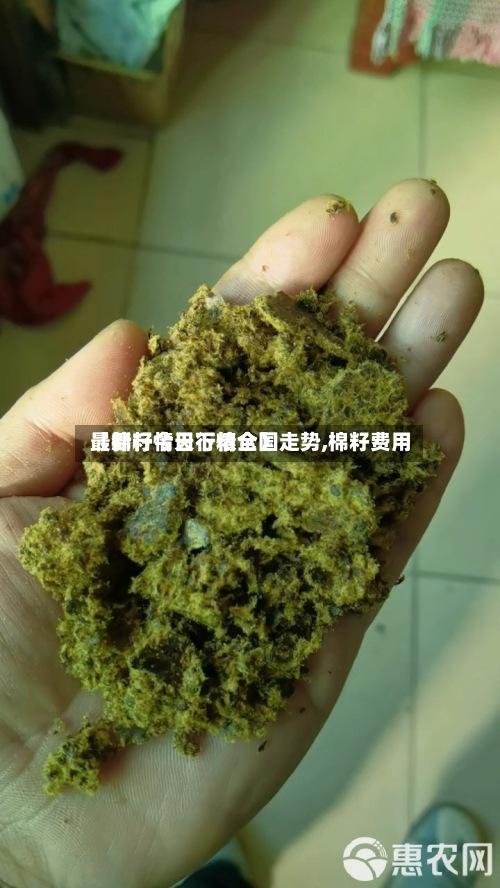 【棉籽今日行情全国走势,棉籽费用
最新行情天下粮仓】-第2张图片