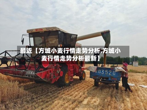 最近【方城小麦行情走势分析,方城小麦行情走势分析最新】-第3张图片