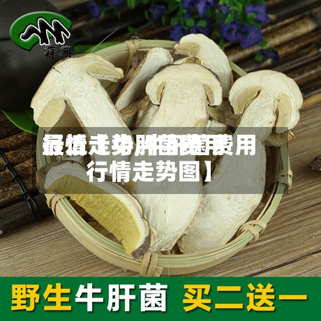最近【牛肝菌费用
行情走势,牛肝菌费用
行情走势图】