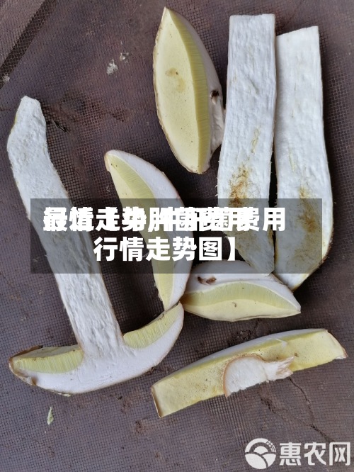 最近【牛肝菌费用
行情走势,牛肝菌费用
行情走势图】-第3张图片