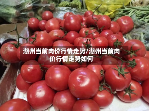 湖州当前肉价行情走势/湖州当前肉价行情走势如何