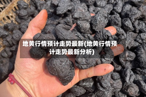 地黄行情预计走势最新(地黄行情预计走势最新分析)