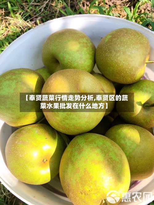 【奉贤蔬菜行情走势分析,奉贤区的蔬菜水果批发在什么地方】