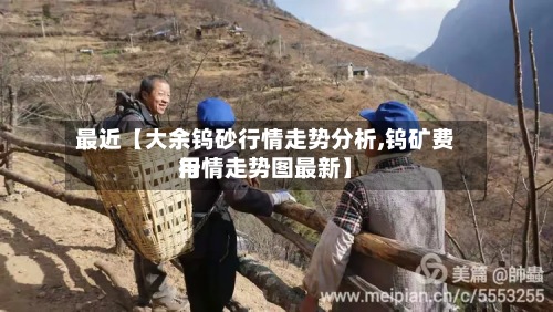 最近【大余钨砂行情走势分析,钨矿费用
行情走势图最新】-第3张图片