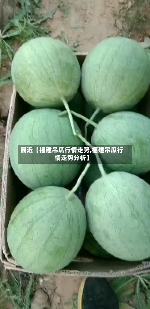 最近【福建吊瓜行情走势,福建吊瓜行情走势分析】-第3张图片