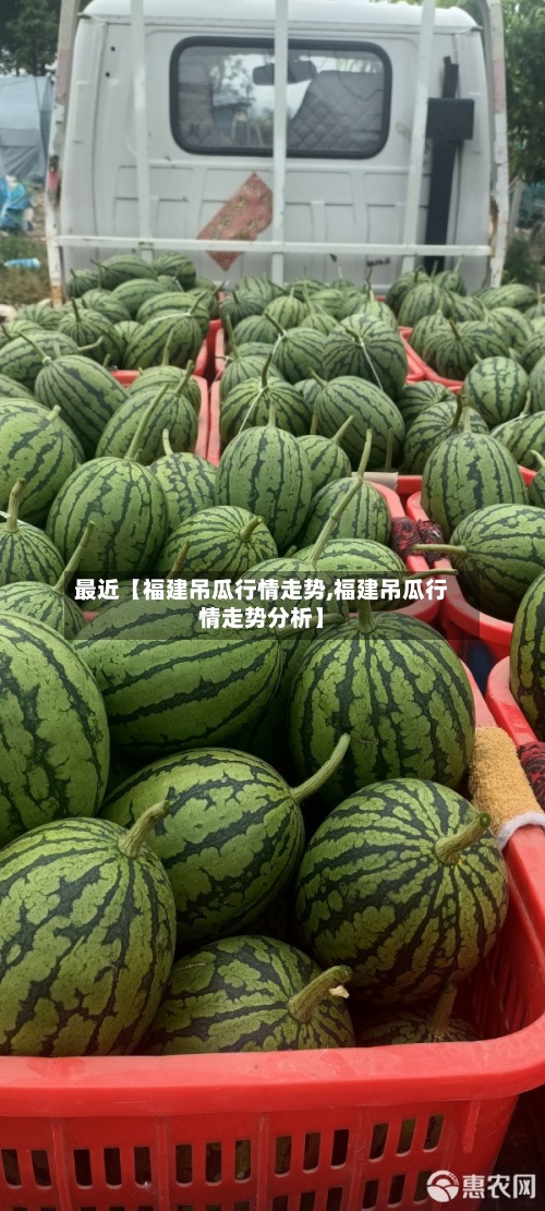 最近【福建吊瓜行情走势,福建吊瓜行情走势分析】