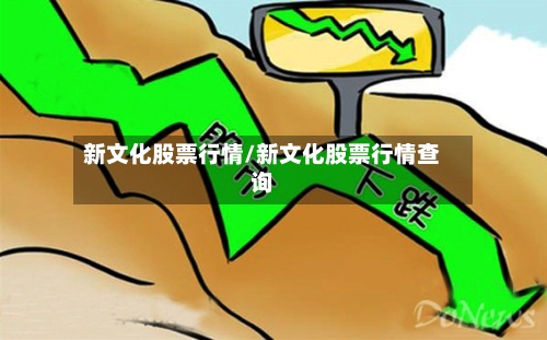 新文化股票行情/新文化股票行情查询