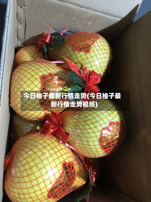 今日柚子最新行情走势(今日柚子最新行情走势视频)