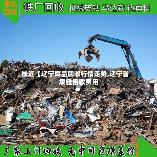 最近【辽宁废品回收行情走势,辽宁省废铁回收费用
今日价】