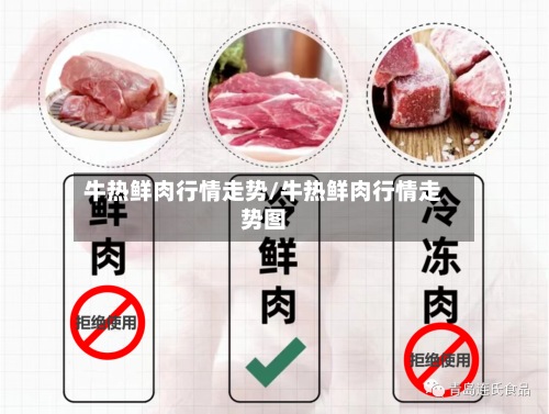 牛热鲜肉行情走势/牛热鲜肉行情走势图