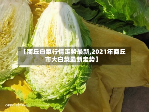 【商丘白菜行情走势最新,2021年商丘市大白菜最新走势】-第3张图片