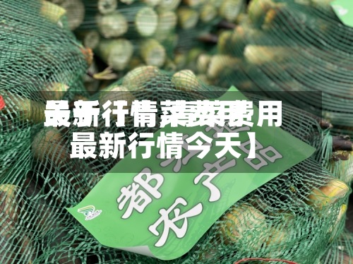 关于【青菜费用最新行情,青菜费用最新行情今天】