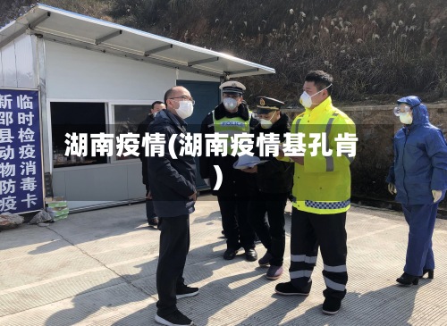 湖南疫情(湖南疫情基孔肯)