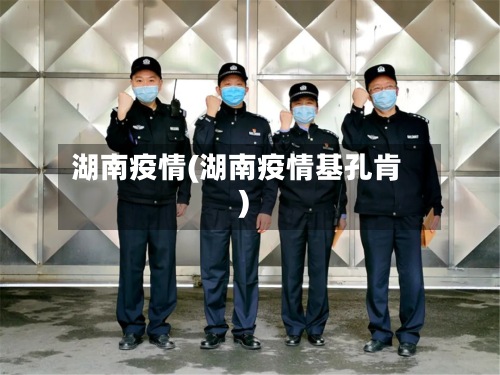 湖南疫情(湖南疫情基孔肯)-第2张图片