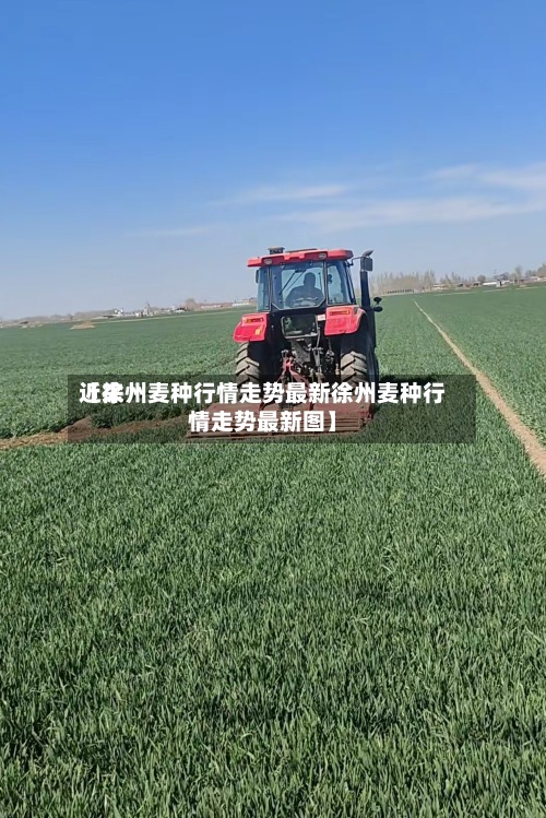 近来
【徐州麦种行情走势最新徐州麦种行情走势最新图】-第2张图片