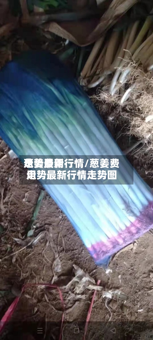葱姜费用走势最新行情/葱姜费用走势最新行情走势图-第2张图片