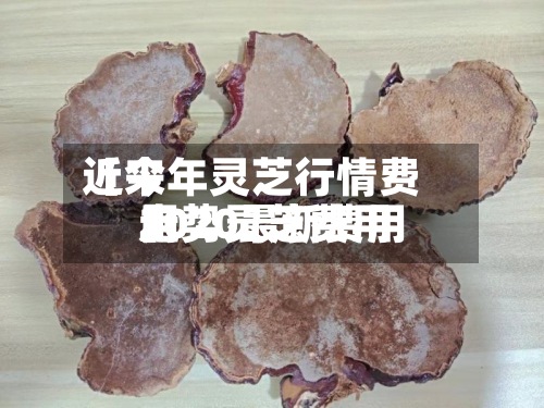 近来【今年灵芝行情费用走势灵芝费用2020最新费用】