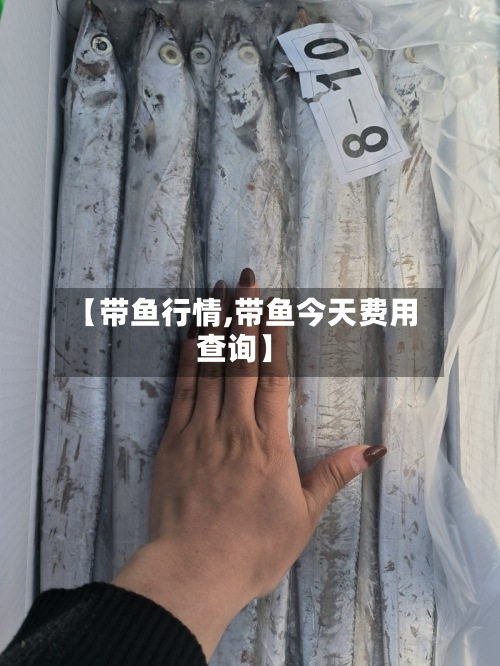 【带鱼行情,带鱼今天费用
查询】-第3张图片