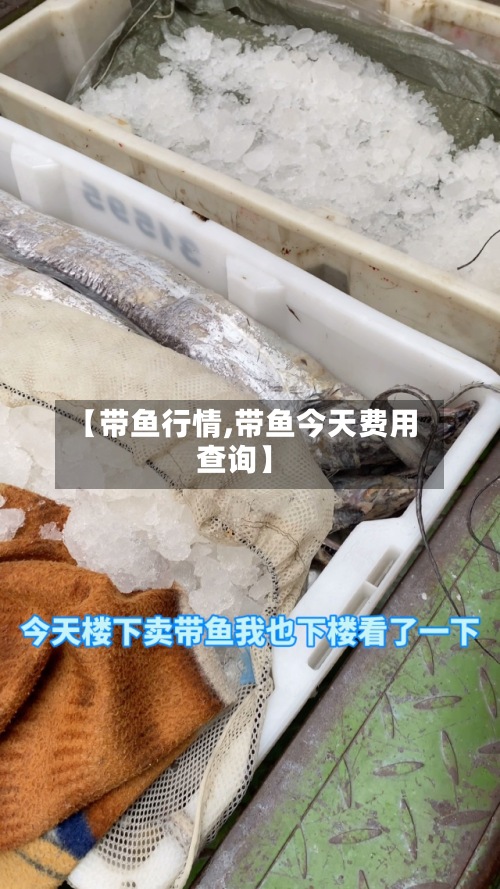【带鱼行情,带鱼今天费用查询】