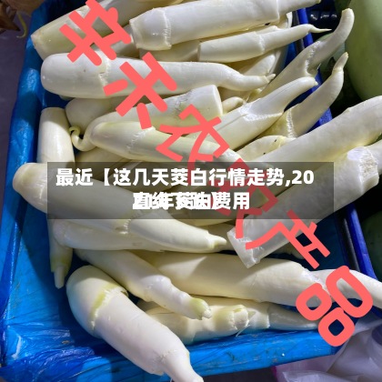 最近【这几天茭白行情走势,2021年茭白费用
直线下跌】-第2张图片
