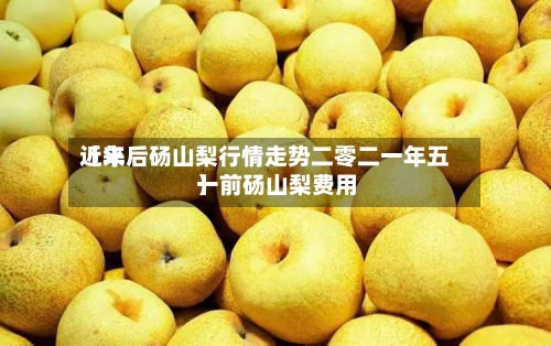 近来【年后砀山梨行情走势二零二一年五一前砀山梨费用】