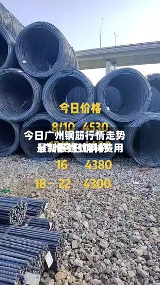 今日广州钢筋行情走势/广州今日钢材费用最新报螺纹钢价-第2张图片