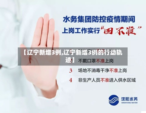 【辽宁新增3例,辽宁新增3例的行动轨迹】-第2张图片