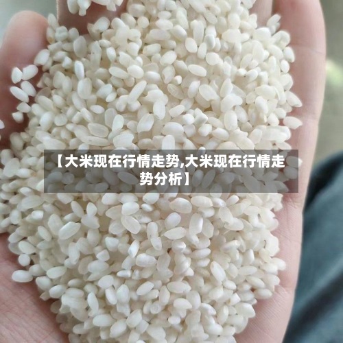 【大米现在行情走势,大米现在行情走势分析】
