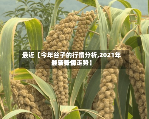 最近【今年谷子的行情分析,2021年谷子费用
最新行情走势】-第2张图片