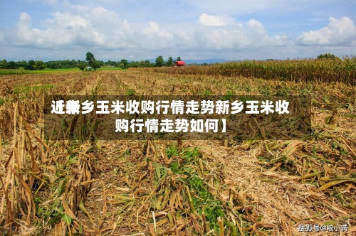 近来【新乡玉米收购行情走势新乡玉米收购行情走势如何】