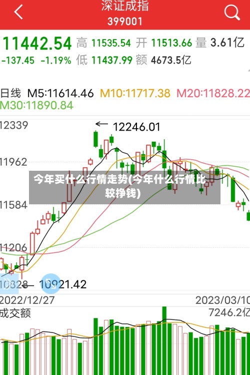 今年买什么行情走势(今年什么行情比较挣钱)-第3张图片