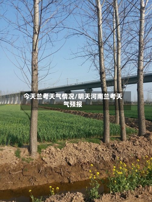 今天兰考天气情况/明天河南兰考天气预报-第2张图片