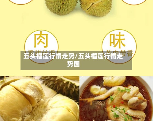 五头榴莲行情走势/五头榴莲行情走势图-第3张图片