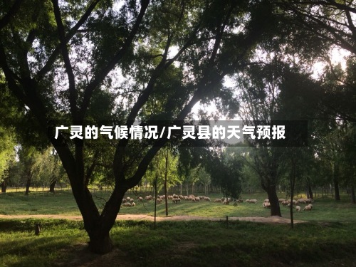 广灵的气候情况/广灵县的天气预报
