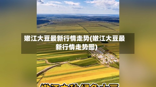 嫩江大豆最新行情走势(嫩江大豆最新行情走势图)-第2张图片