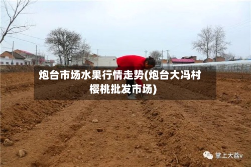 炮台市场水果行情走势(炮台大冯村樱桃批发市场)-第2张图片