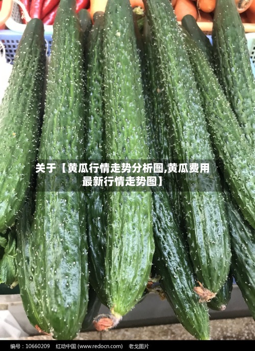 关于【黄瓜行情走势分析图,黄瓜费用最新行情走势图】-第2张图片