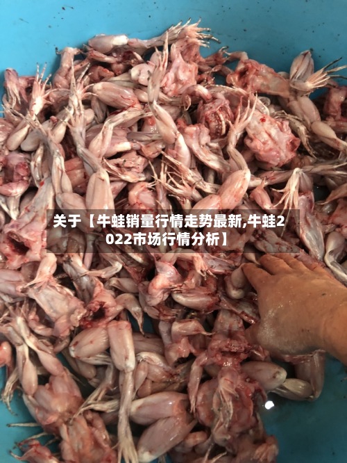 关于【牛蛙销量行情走势最新,牛蛙2022市场行情分析】