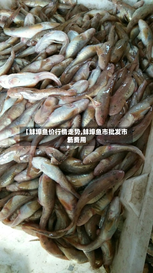 【蚌埠鱼价行情走势,蚌埠鱼市批发市场费用】-第3张图片