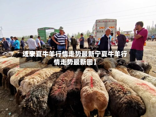 近来【宁夏牛羊行情走势最新宁夏牛羊行情走势最新图】-第3张图片