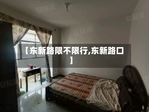 【东新路限不限行,东新路口】-第3张图片