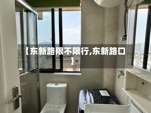 【东新路限不限行,东新路口】-第2张图片