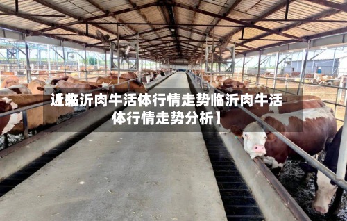 近来【临沂肉牛活体行情走势临沂肉牛活体行情走势分析】