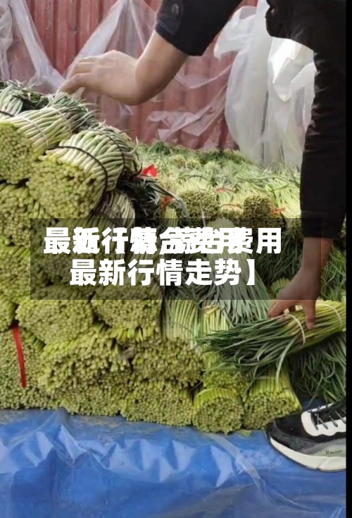 最近【蒜台费用
最新行情,蒜台费用
最新行情走势】-第2张图片