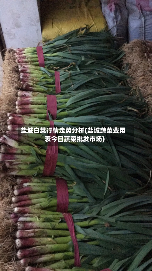 盐城白菜行情走势分析(盐城蔬菜费用
表今日蔬菜批发市场)