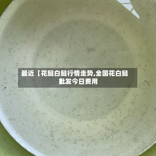 最近【花鲢白鲢行情走势,全国花白鲢批发今日费用
】-第2张图片