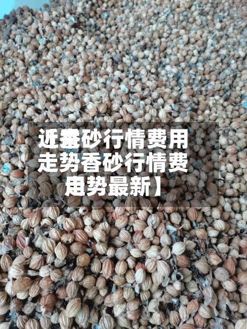 近来
【香砂行情费用
走势香砂行情费用
走势最新】