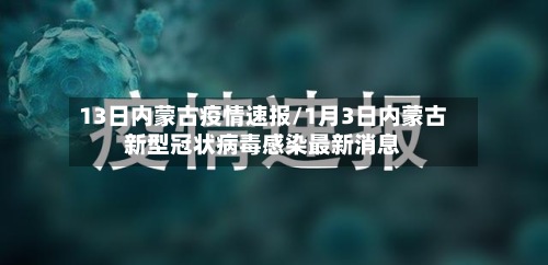13日内蒙古疫情速报/1月3日内蒙古新型冠状病毒感染最新消息-第2张图片