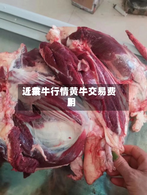 近来【黄牛行情黄牛交易费用】-第2张图片